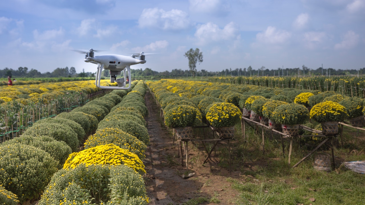 The future of agriculture is being reshaped by innovative and mind-blowing technologies.