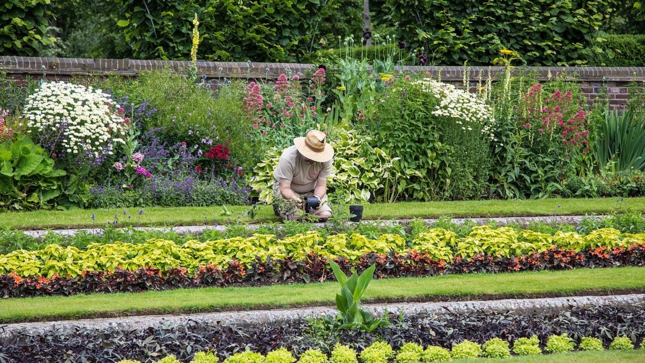 How to become a gardener