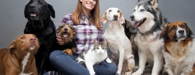 Becoming a good pet sitter requires a natural sense of caring and a sense of duty. Pet sitting can be both rewarding and fun.